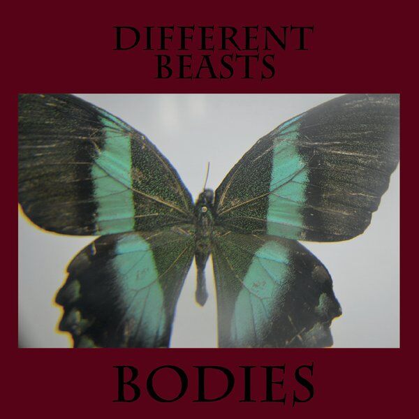 Cover art for Different Beasts